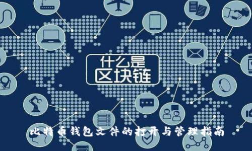 比特币钱包文件的打开与管理指南