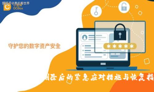比特币钱包被删除后的紧急应对措施与恢复指南