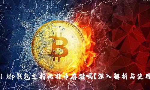 : Pai Up钱包支持比特币存储吗？深入解析与使用指南