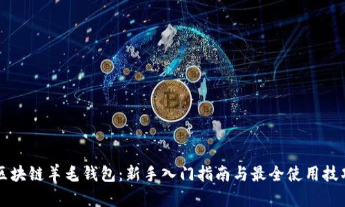 区块链羊毛钱包：新手入门指南与最全使用技巧