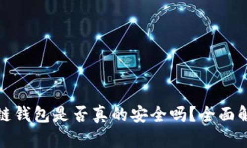 : 安全的区块链钱包是否真的安全吗？全面解析与使用指南