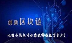 比特币钱包可以存放哪些
