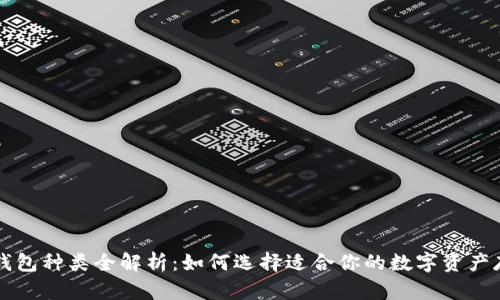 区块链钱包种类全解析：如何选择适合你的数字资产存储方案