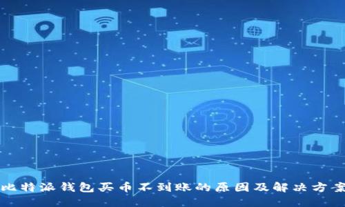 比特派钱包买币不到账的原因及解决方案