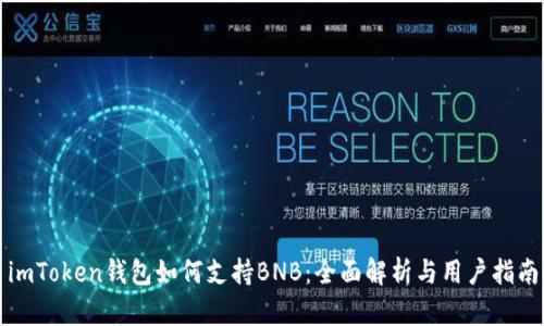 imToken钱包如何支持BNB：全面解析与用户指南