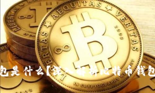 : 比特币的钱包是什么？深入解析比特币钱包的功能与使用