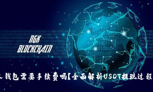 USDT提现个人钱包需要手续费吗？全面解析USDT提现过程及手续费问题