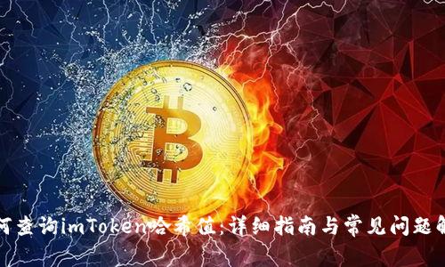 如何查询imToken哈希值：详细指南与常见问题解答