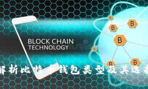 全面解析比特币钱包类型及其选择指南