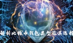 全面解析比特币钱包类型