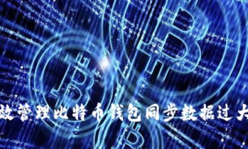 如何有效管理比特币钱包同步数据过大的问题