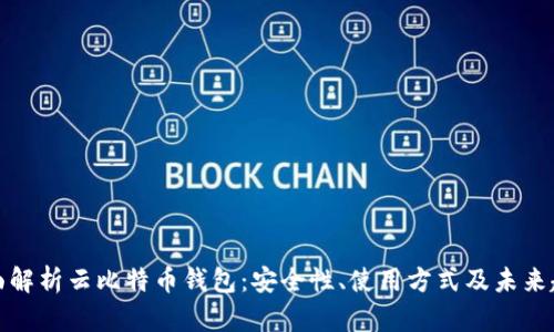 全面解析云比特币钱包：安全性、使用方式及未来趋势