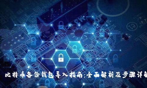 : 比特币备份钱包导入指南：全面解析及步骤详解
