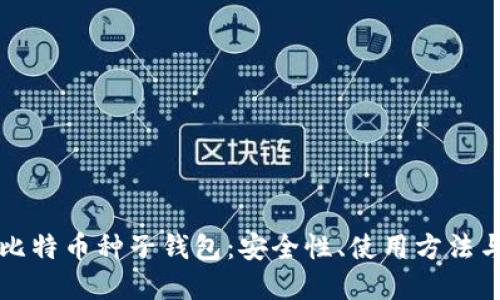 全面解读比特币种子钱包：安全性、使用方法与最佳实践
