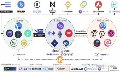 如何选择适合自己的USDT钱包及安全性分析