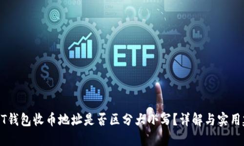 USDT钱包收币地址是否区分大小写？详解与实用建议