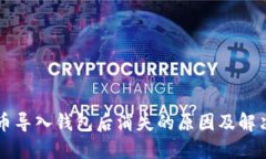 虚拟币导入钱包后消失的
