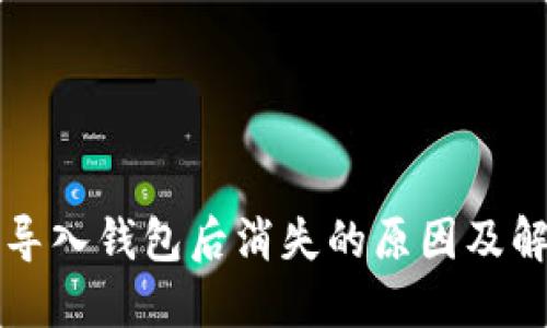 虚拟币导入钱包后消失的原因及解决方案