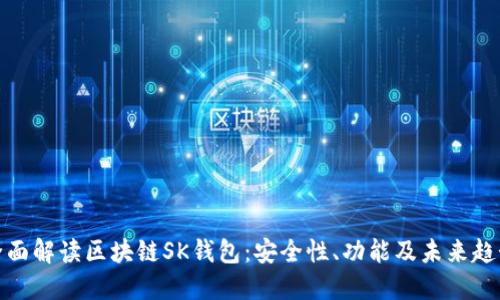 全面解读区块链SK钱包：安全性、功能及未来趋势