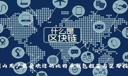 国内用户最受欢迎的比特币钱包推荐与使用指南