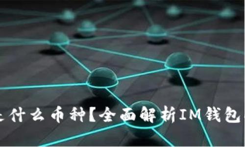 IM钱包中的DApp是什么币种？全面解析IM钱包DApp的特点与用途