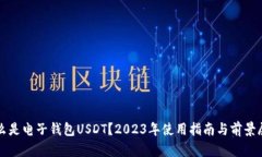 什么是电子钱包USDT？202