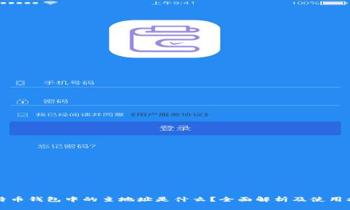 比特币钱包中的主地址是什么？全面解析及使用指南