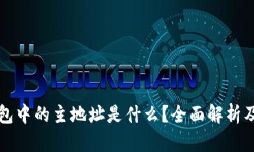 比特币钱包中的主地址是什么？全面解析及使用指南