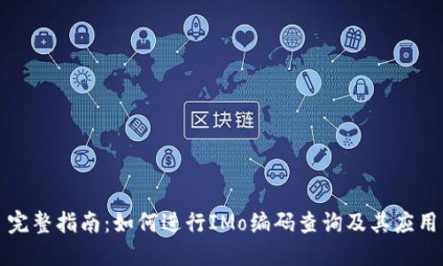 完整指南：如何进行IMo编码查询及其应用