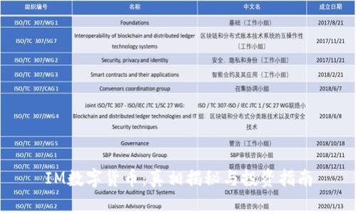 IM数字货币：真相揭秘与投资指南