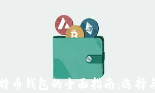 
国内使用比特币钱包的全面指南：选择与安全性分析