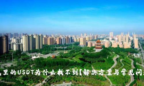 : 钱包里的USDT为什么找不到？解决方案与常见问题解析