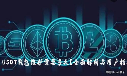 : USDT钱包维护需要多久？全面解析与用户指南