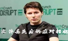 比特币钱包文件丢失后的