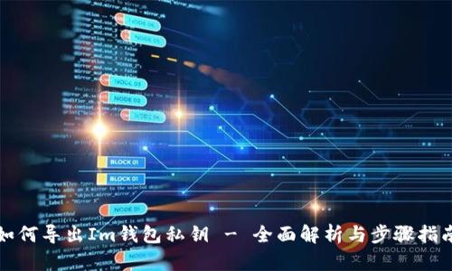 如何导出Im钱包私钥 - 全面解析与步骤指南