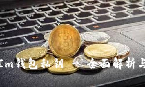 如何导出Im钱包私钥 - 全面解析与步骤指南