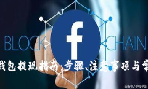 imToken冷钱包提现指南：步骤、注意事项与常见问题解答