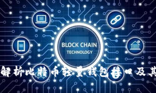 全面解析比特币轻量钱包接口及其应用