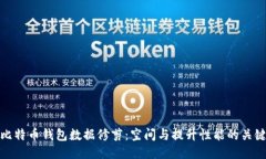 比特币钱包数据修剪：空