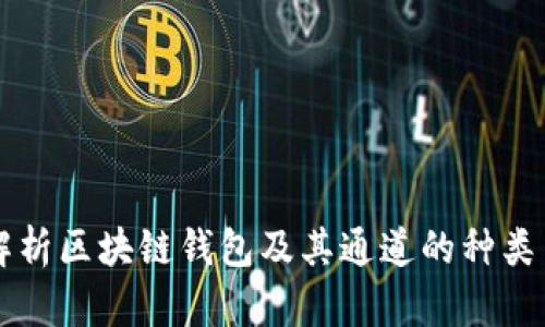 全面解析区块链钱包及其通道的种类与应用