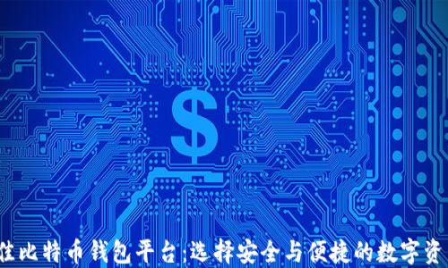 
2023年最佳比特币钱包平台：选择安全与便捷的数字资产管理方案