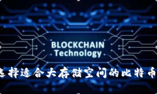 如何选择适合大存储空间的比特币钱包？