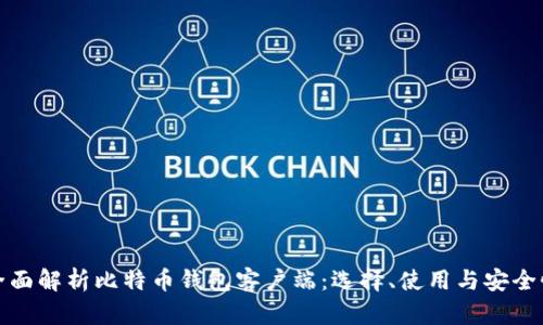 全面解析比特币钱包客户端：选择、使用与安全性