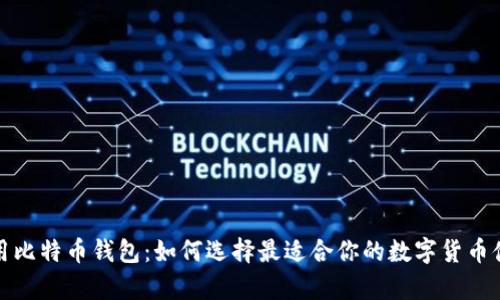 全球通用比特币钱包：如何选择最适合你的数字货币储存工具