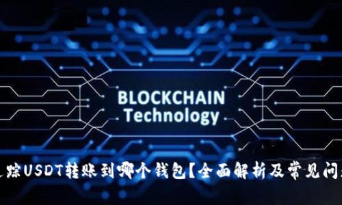如何追踪USDT转账到哪个钱包？全面解析及常见问题解答