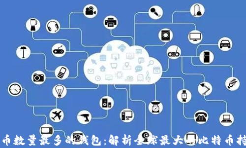 
比特币数量最多的钱包：解析全球最大的比特币持有者