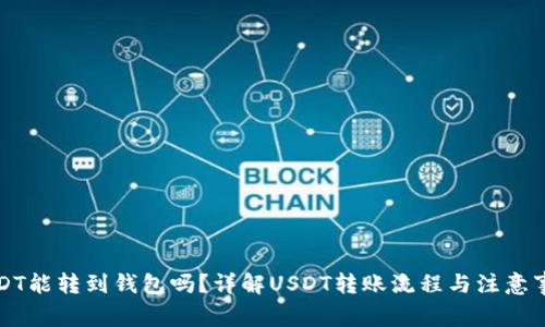 USDT能转到钱包吗？详解USDT转账流程与注意事项