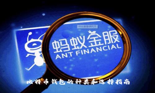 比特币钱包的种类和选择指南