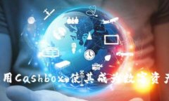   区块链钱包Cashbox技术接口详解：构建安全高效