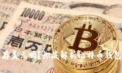 比特币钱包能存美元吗？彻底解析比特币钱包的功能与局限